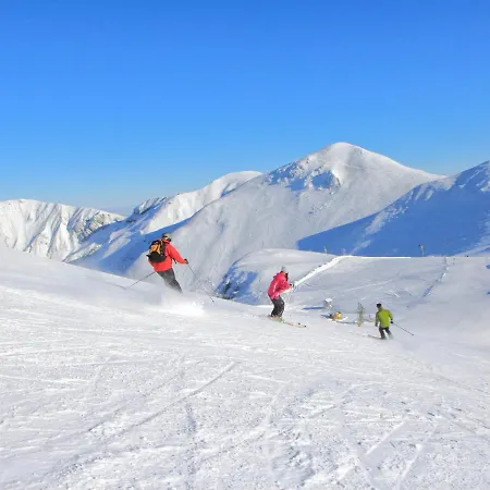 Appart. T2 Au Mont-dore, 4 Pers., Parc Et Montagne - Fr-1-608-115 *