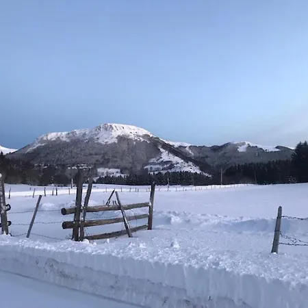 شقة Appart. T2 Au Mont-dore, 4 Pers., Parc Et Montagne - Fr-1-608-115 *