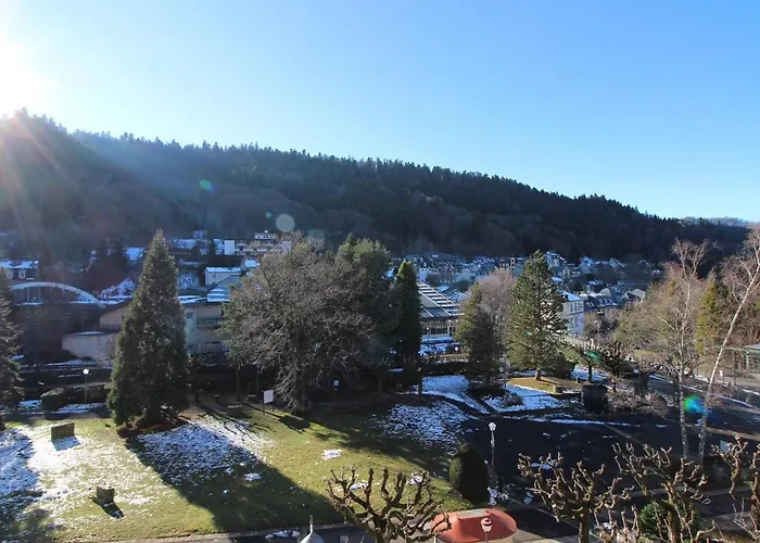 Appart. T2 Au Mont-dore, 4 Pers., Parc Et Montagne - Fr-1-608-115 Appartement *