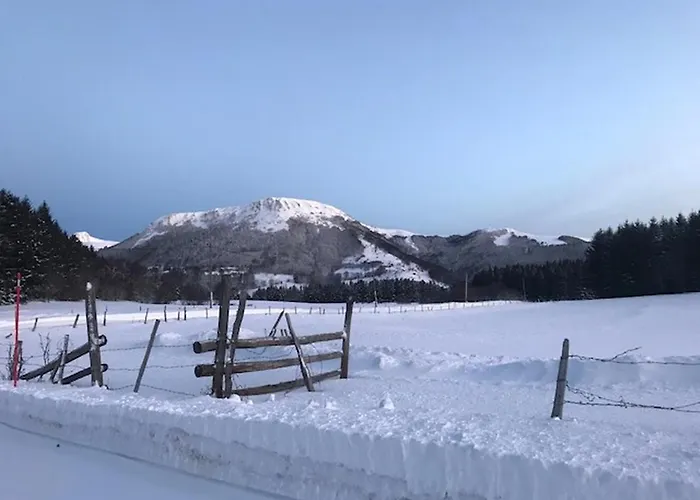 Appartement Appart. T2 Au Mont-dore, 4 Pers., Parc Et Montagne - Fr-1-608-115 *