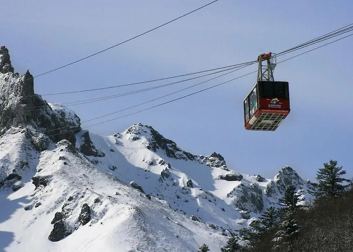 Appartement Appart. T2 Au Mont-dore, 4 Pers., Parc Et Montagne - Fr-1-608-115 Le Mont-Dore